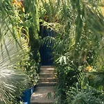 Tropica, Total Privacy, Tropical Garden And Private Pool فيلة Kaštela
