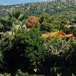 Tropica, Total Privacy, Tropical Garden And Private Pool