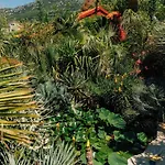 Tropica, Total Privacy, Tropical Garden And Private Pool فيلة Kaštela