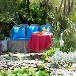Tropica, Total Privacy, Tropical Garden And Private Pool *