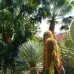 فيلة Tropica, Total Privacy, Tropical Garden And Private Pool Kaštela