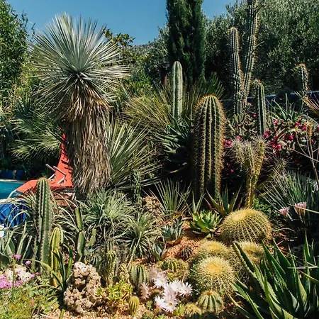 Tropica, Total Privacy, Tropical Garden And Private Pool Kastela