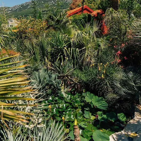 Tropica, Total Privacy, Tropical Garden And Private Pool Villa Kastela