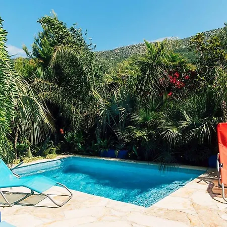 Villa Tropica, Total Privacy, Tropical Garden And Private Pool