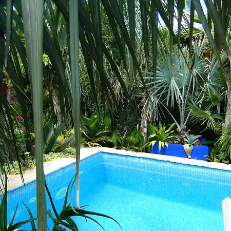 Villa Tropica, Total Privacy, Tropical Garden And Private Pool