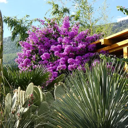 Villa Tropica, Total Privacy, Tropical Garden And Private Pool *