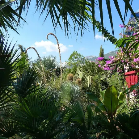 Tropica, Total Privacy, Tropical Garden And Private Pool *