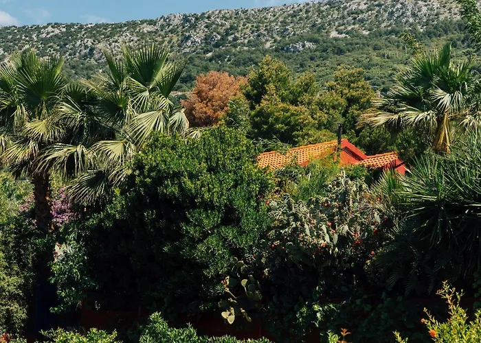 Tropica, Total Privacy, Tropical Garden And Private Pool