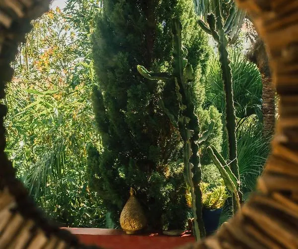 Tropica, Total Privacy, Tropical Garden And Private Pool Villa