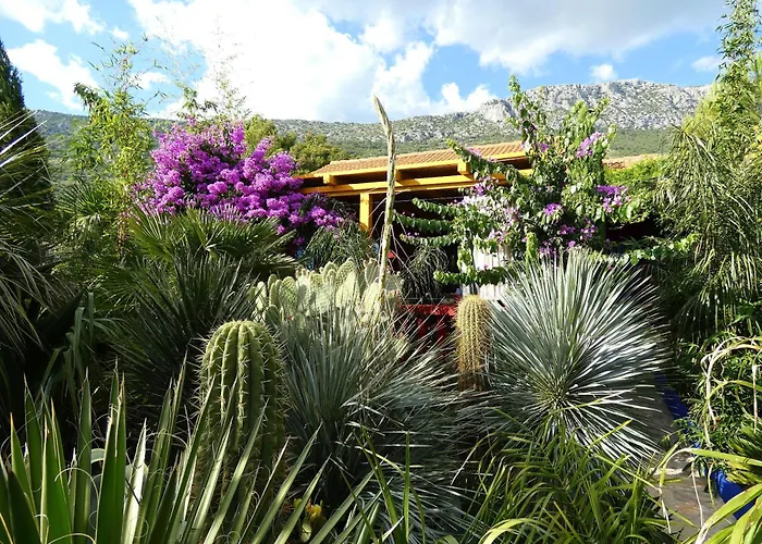 Tropica, Total Privacy, Tropical Garden And Private Pool