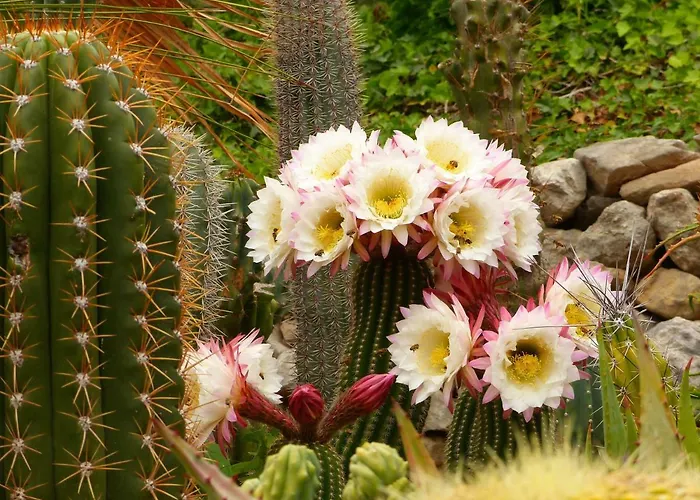 Villa Tropica, Total Privacy, Tropical Garden And Private Pool