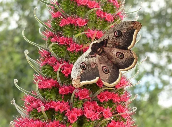 Tropica, Total Privacy, Tropical Garden And Private Pool Villa