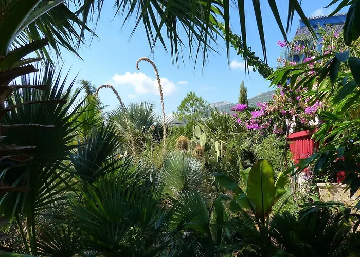 Tropica, Total Privacy, Tropical Garden And Private Pool *