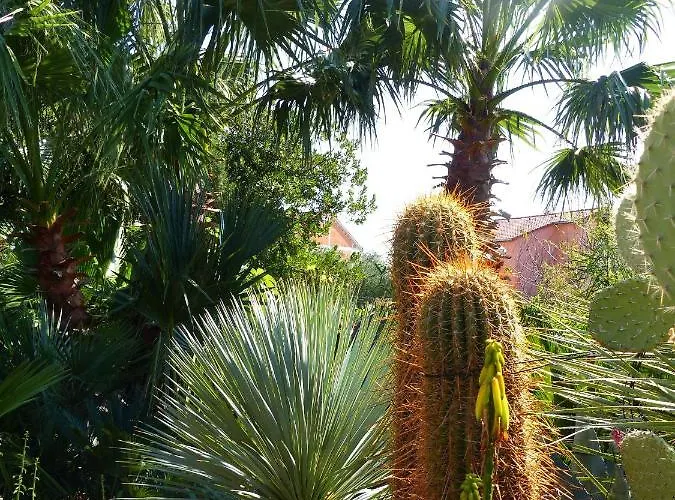 Villa Tropica, Total Privacy, Tropical Garden And Private Pool Kaštela